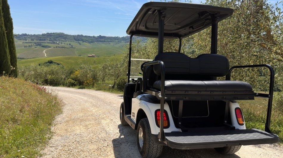 Guasti più comuni nei golf cart e come evitarli